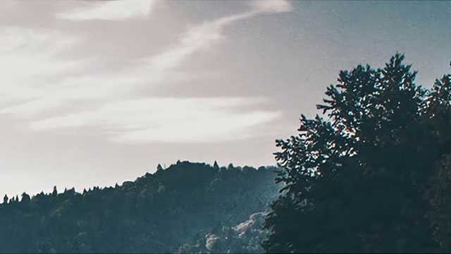 如果遇到车况这么好的宝马3系耀夜冲就完了#二手车